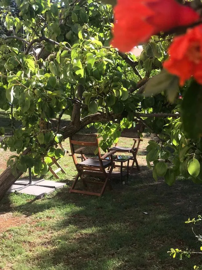 Apartments Seafront Villa Pula 0*,